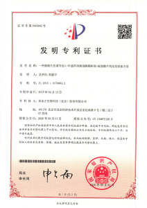 Certificate & Patent (3)